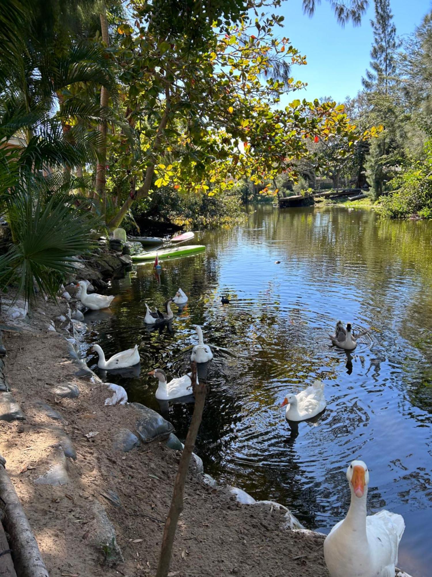 The Sanctuary House West Palm Beach Eksteriør bilde